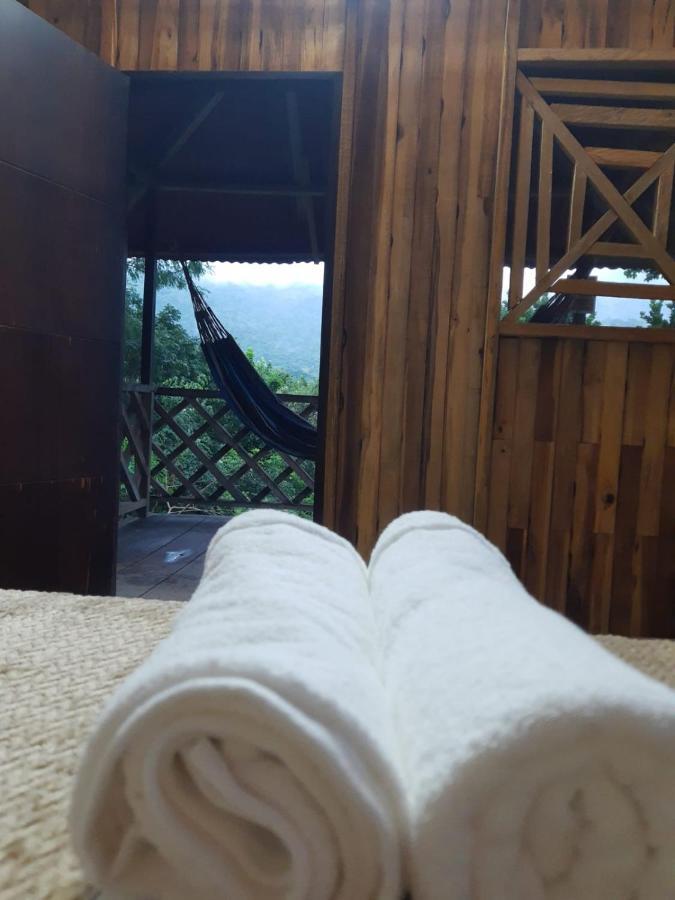 Deep Forest Posadas Ecoturisticas 埃尔扎伊诺 外观 照片