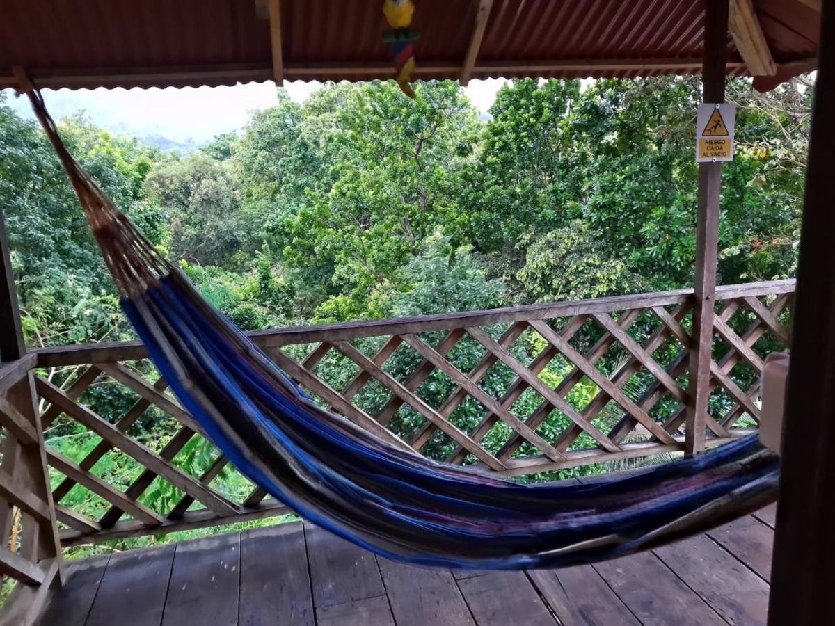 Deep Forest Posadas Ecoturisticas 埃尔扎伊诺 外观 照片