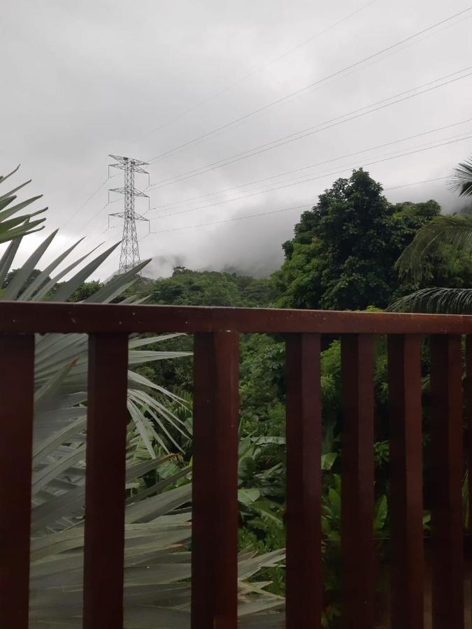 Deep Forest Posadas Ecoturisticas 埃尔扎伊诺 外观 照片