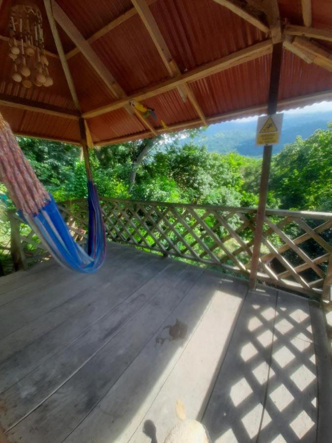 Deep Forest Posadas Ecoturisticas 埃尔扎伊诺 外观 照片