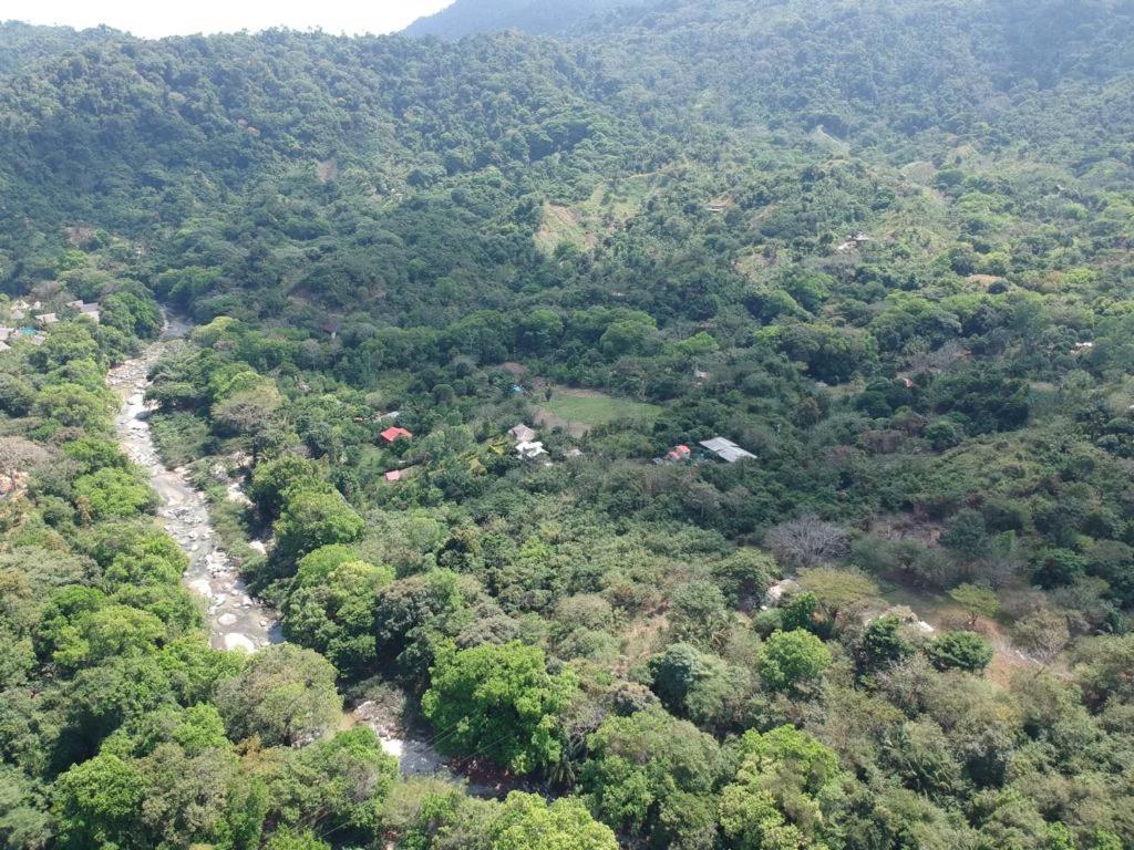 Deep Forest Posadas Ecoturisticas 埃尔扎伊诺 外观 照片