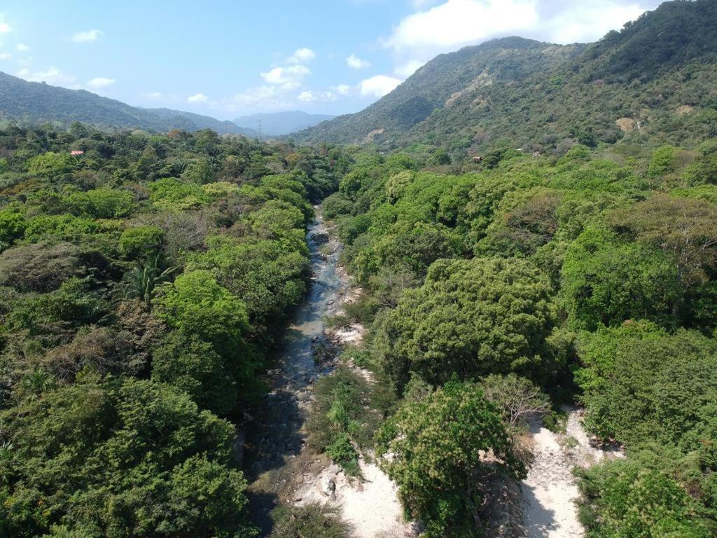 Deep Forest Posadas Ecoturisticas 埃尔扎伊诺 外观 照片