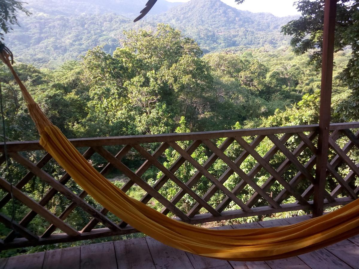 Deep Forest Posadas Ecoturisticas 埃尔扎伊诺 外观 照片