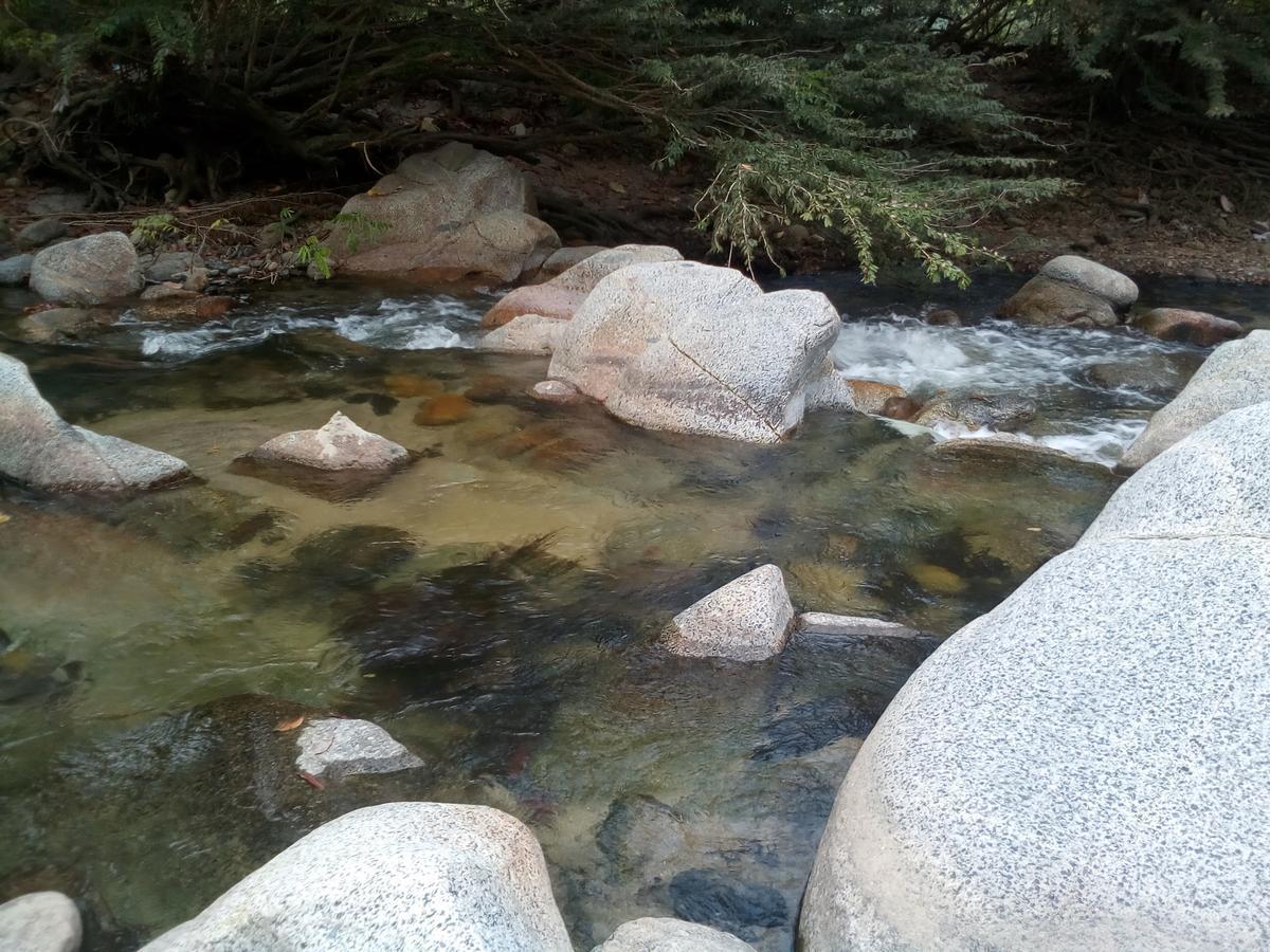 Deep Forest Posadas Ecoturisticas 埃尔扎伊诺 外观 照片