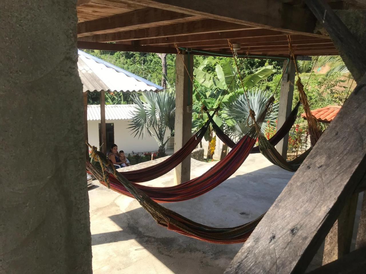 Deep Forest Posadas Ecoturisticas 埃尔扎伊诺 外观 照片
