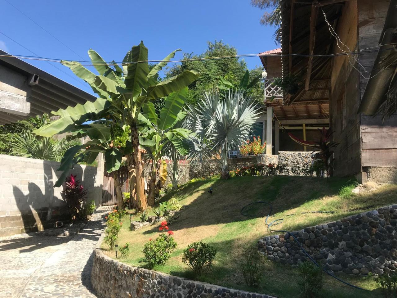 Deep Forest Posadas Ecoturisticas 埃尔扎伊诺 外观 照片