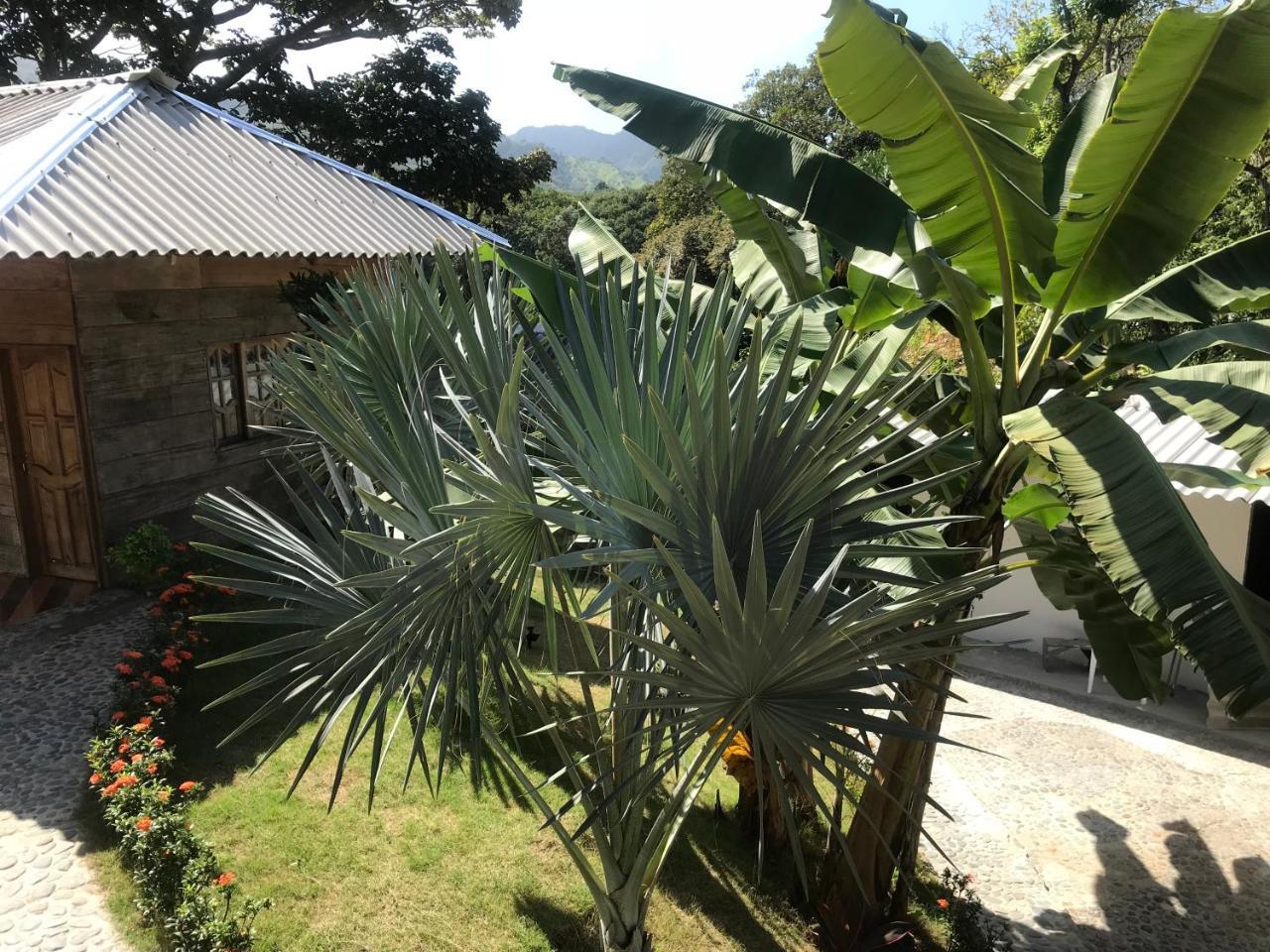 Deep Forest Posadas Ecoturisticas 埃尔扎伊诺 外观 照片